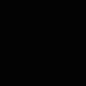 Meet your Posher, Jayvon